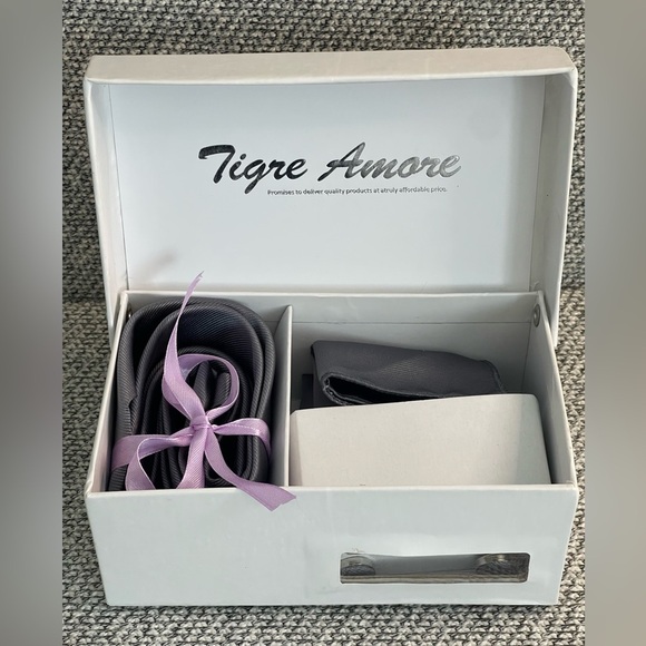 Gray Tie Set with Elegant Accessories - Picture 15 of 16